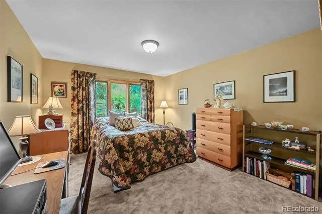 901 CR 64 Bailey, CO 80421