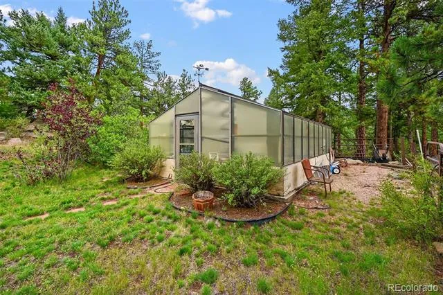 901 CR 64 Bailey, CO 80421