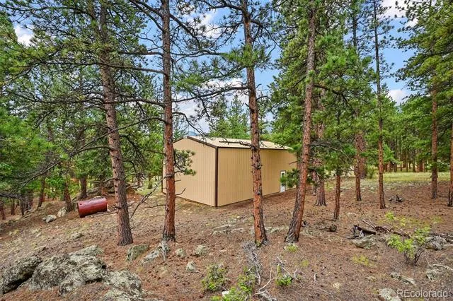 901 CR 64 Bailey, CO 80421