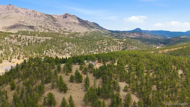 901 CR 64 Bailey, CO 80421