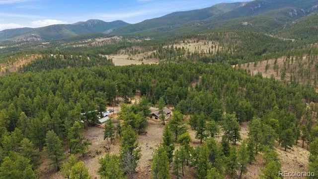 901 CR 64 Bailey, CO 80421