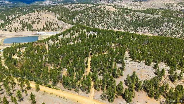901 CR 64 Bailey, CO 80421