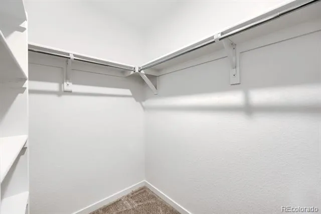 2696 Lower Crags Point Colorado Springs, CO 80904