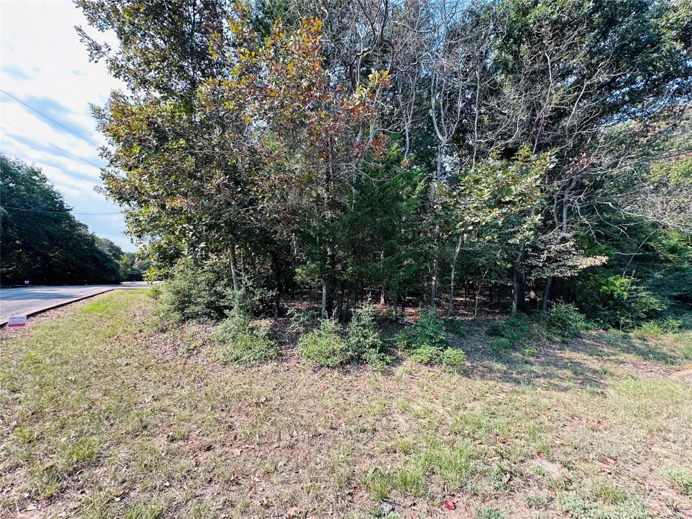 36 Pedernales East Athens, TX 75752