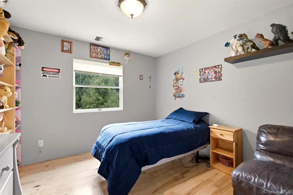 61 Villanova Lane Dix Hills, NY 11746