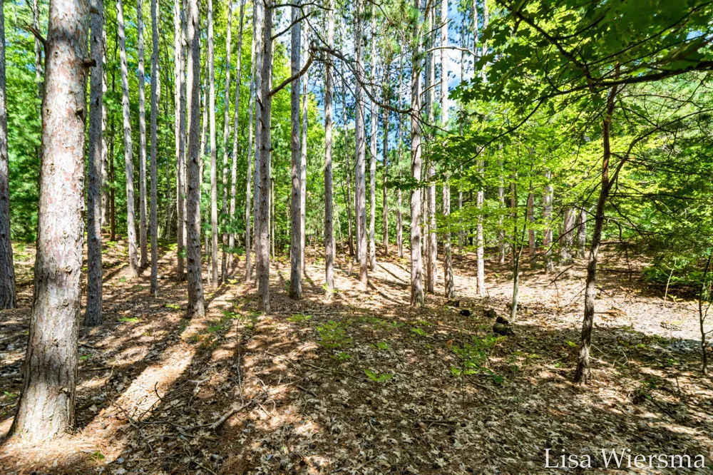 6572 Haines Lane Port Sheldon Township, MI 49460