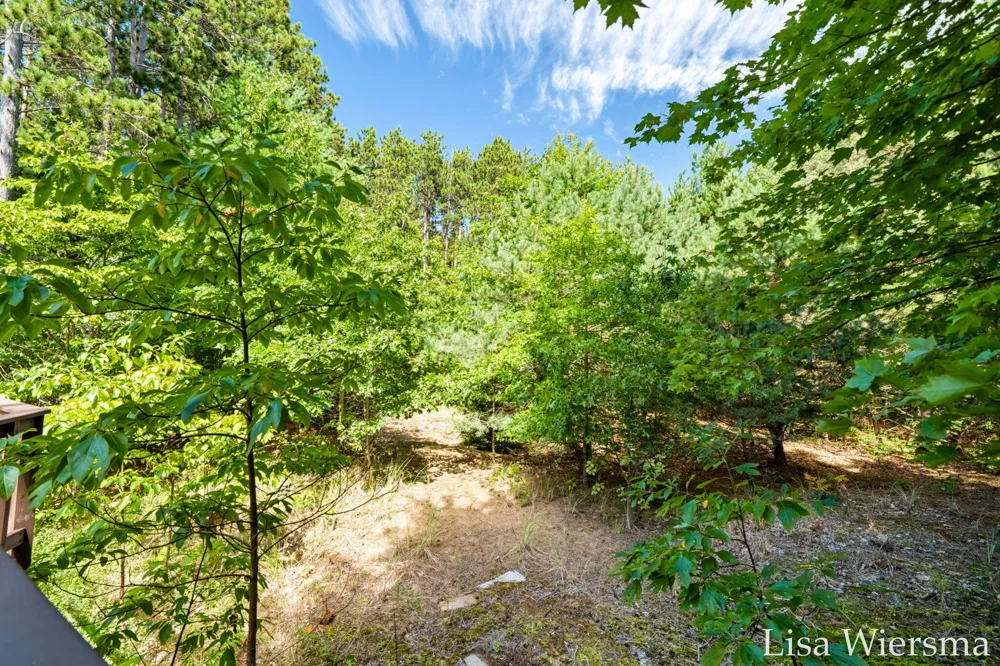 6572 Haines Lane Port Sheldon Township, MI 49460