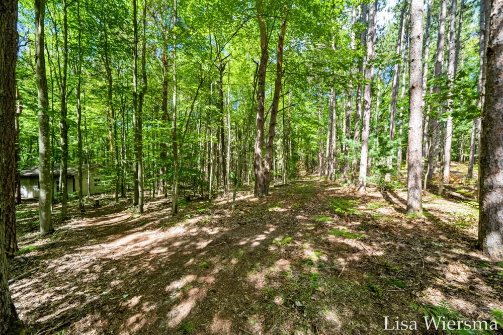 6572 Haines Lane Port Sheldon Township, MI 49460