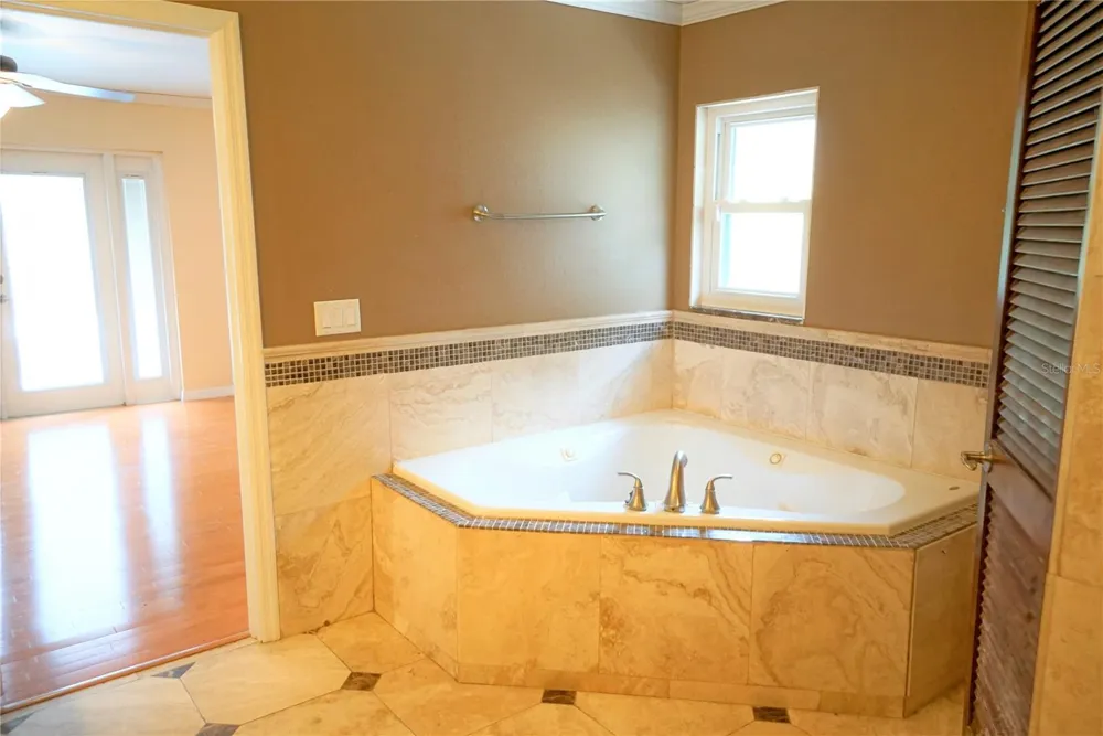 15903 DOVER CLIFFE DRIVE Lutz, FL 33548