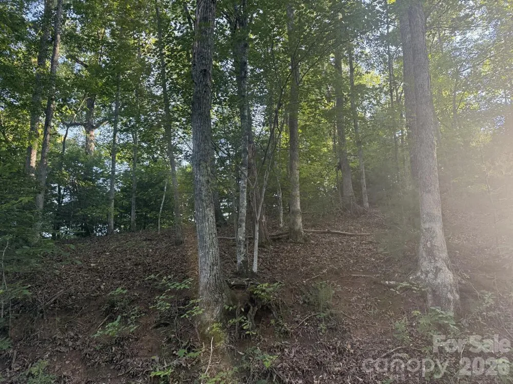 0 Canterbury Road Cullowhee, NC 28723