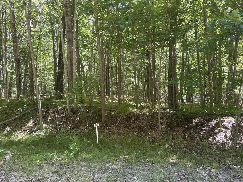 8278 Highland Trail Stanwood, MI 49346