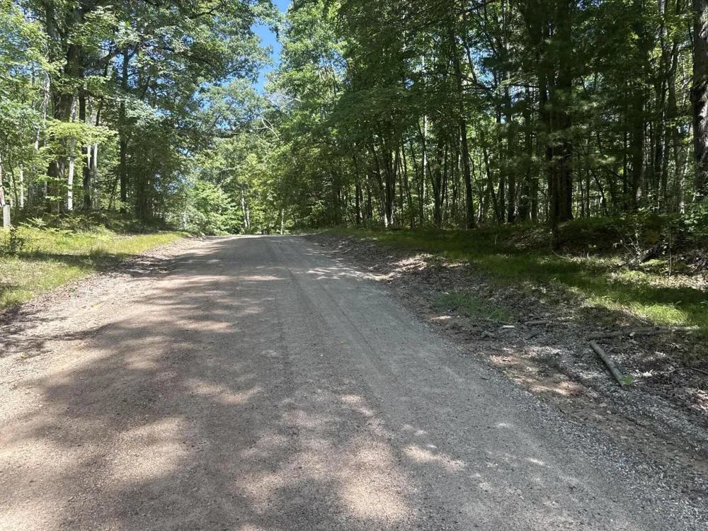 8278 Highland Trail Stanwood, MI 49346