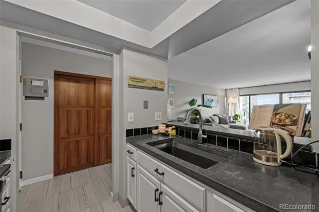 400 S Lafayette Street #1105 Denver, CO 80209