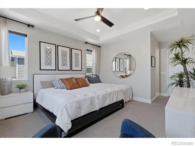 5502 Shady Oaks Drive Windsor, CO 80528