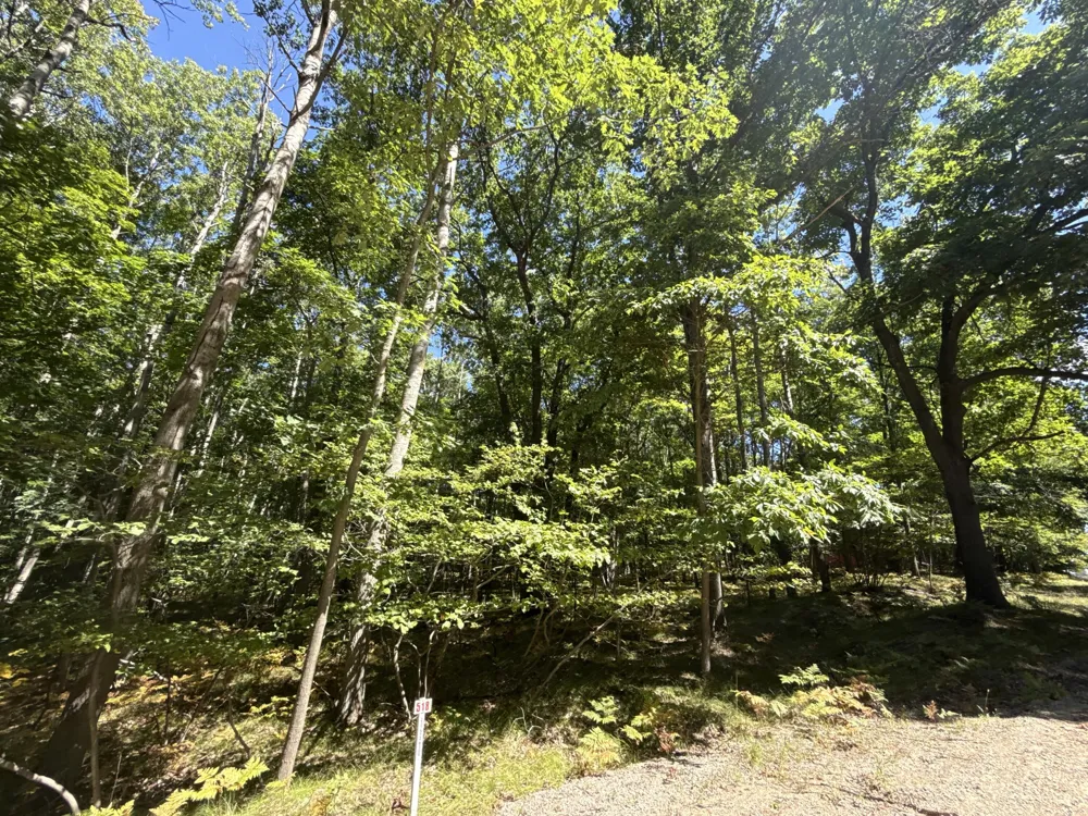 12090 Dubois Drive Stanwood, MI 49346