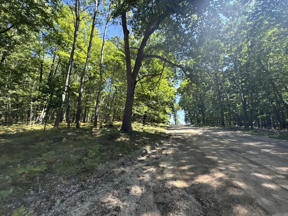 12090 Dubois Drive Stanwood, MI 49346