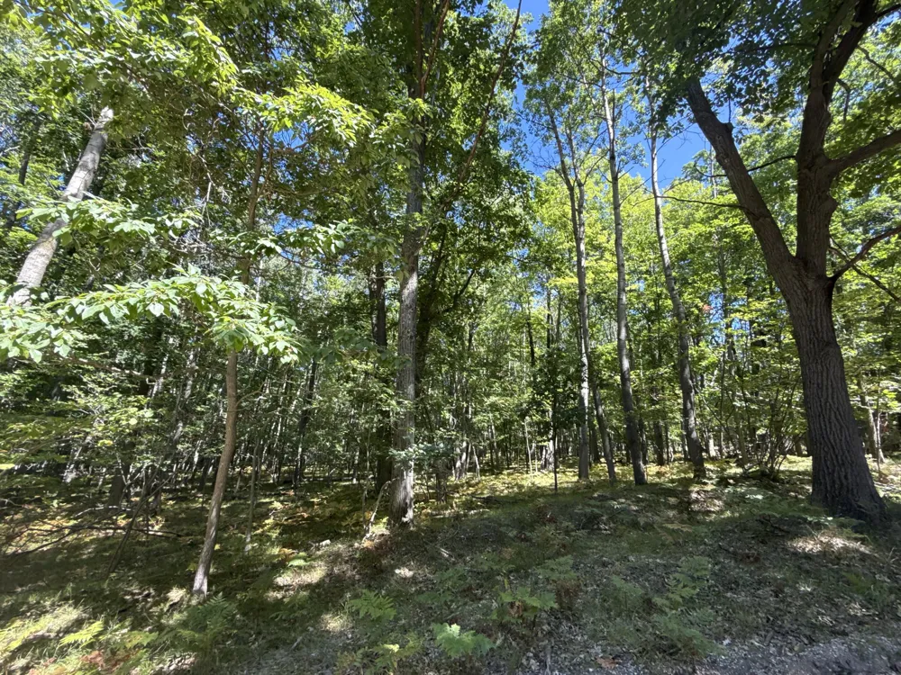 12090 Dubois Drive Stanwood, MI 49346