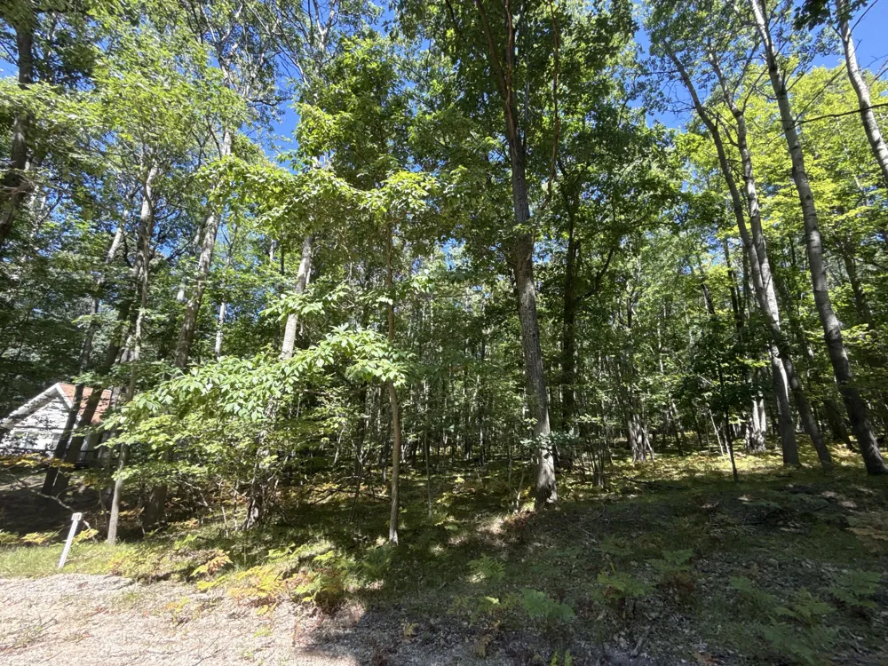 12090 Dubois Drive Stanwood, MI 49346