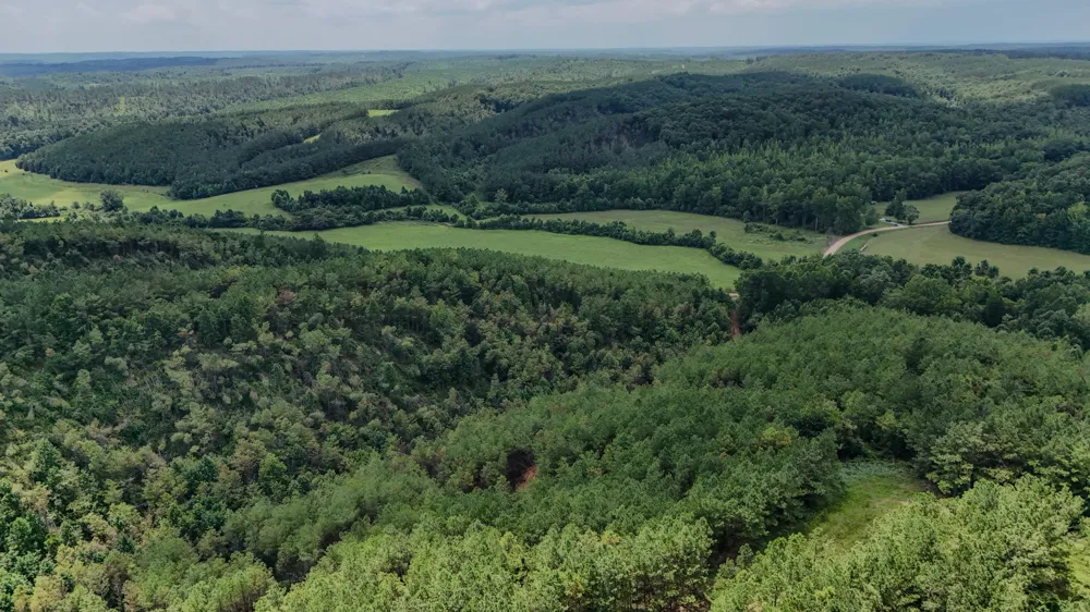 0 Big Opossum Rd Waynesboro, TN 38485