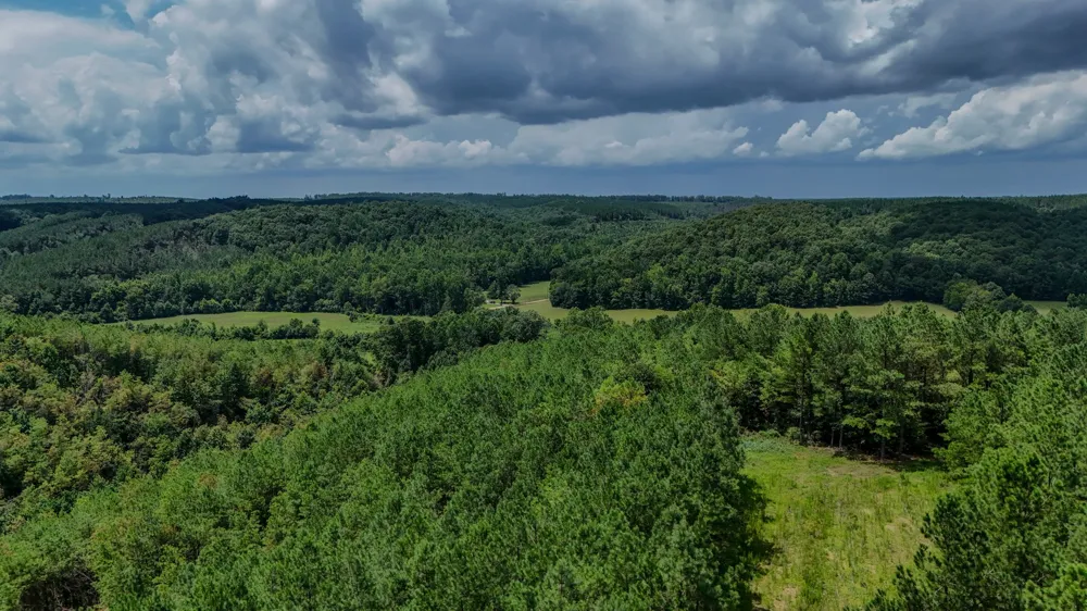 0 Big Opossum Rd Waynesboro, TN 38485