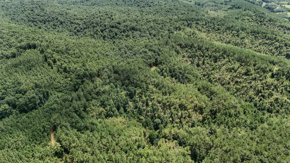 0 Big Opossum Rd Waynesboro, TN 38485