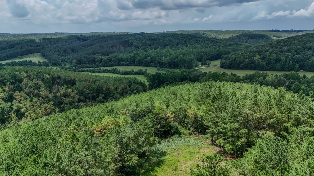 0 Big Opossum Rd Waynesboro, TN 38485