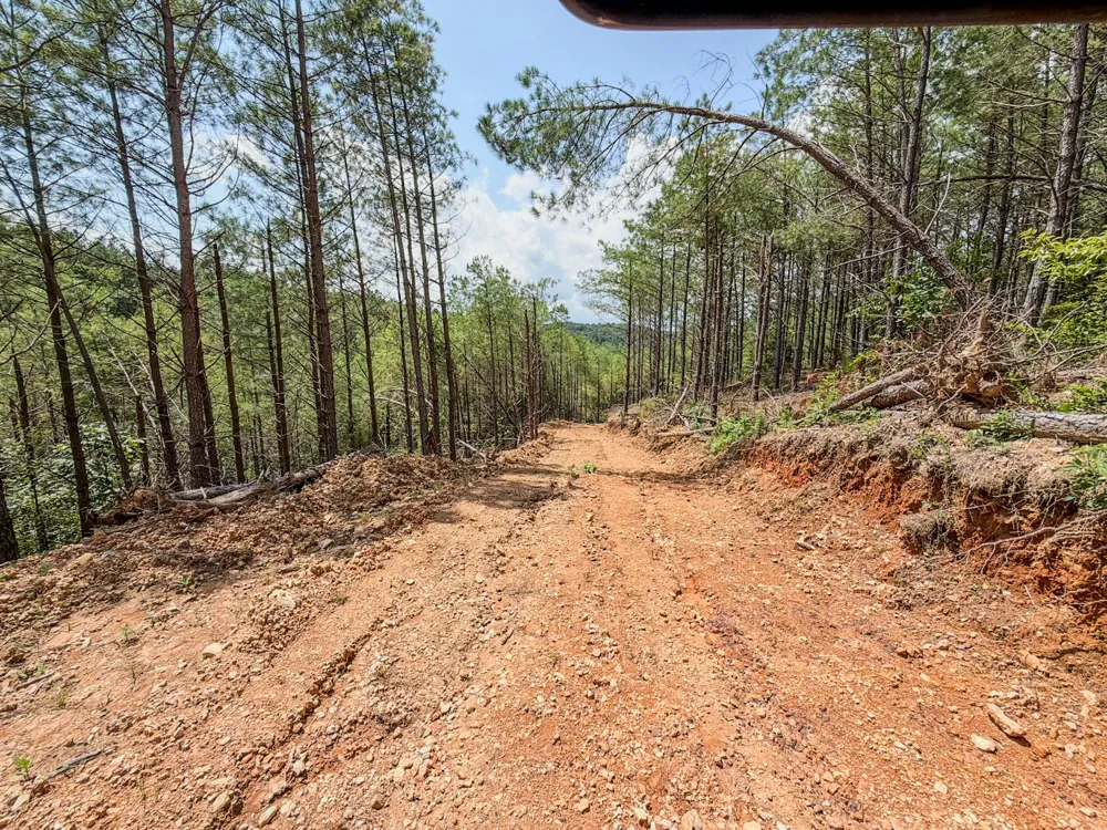 0 Big Opossum Rd Waynesboro, TN 38485