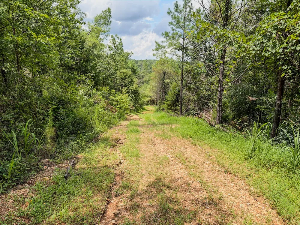 0 Big Opossum Rd Waynesboro, TN 38485