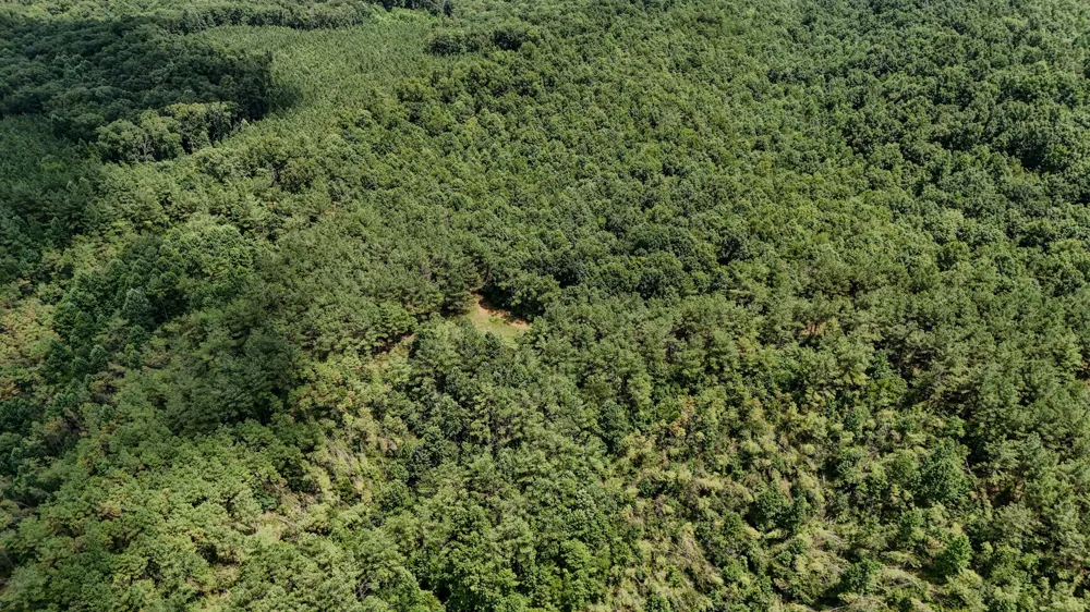 0 Big Opossum Rd Waynesboro, TN 38485