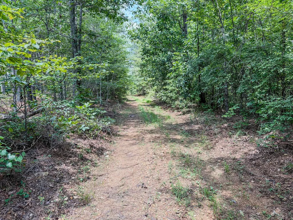 0 Big Opossum Rd Waynesboro, TN 38485