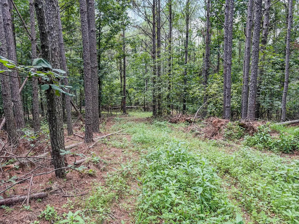 0 Big Opossum Rd Waynesboro, TN 38485