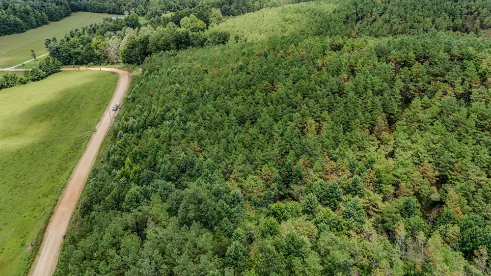 0 Big Opossum Rd Waynesboro, TN 38485