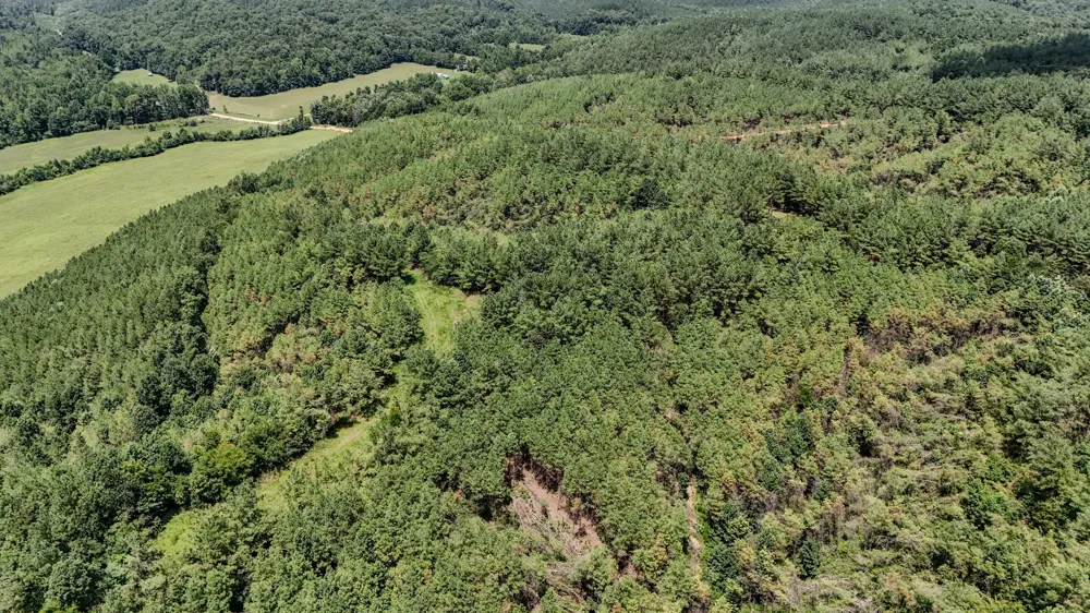 0 Big Opossum Rd Waynesboro, TN 38485