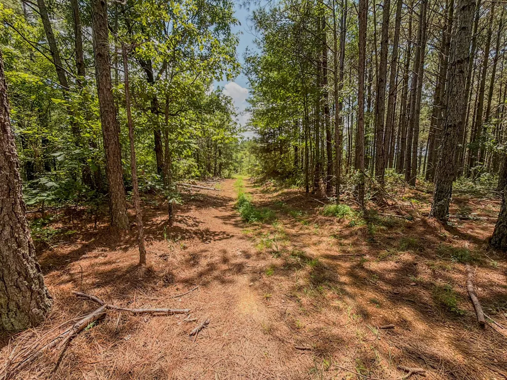0 Big Opossum Rd Waynesboro, TN 38485