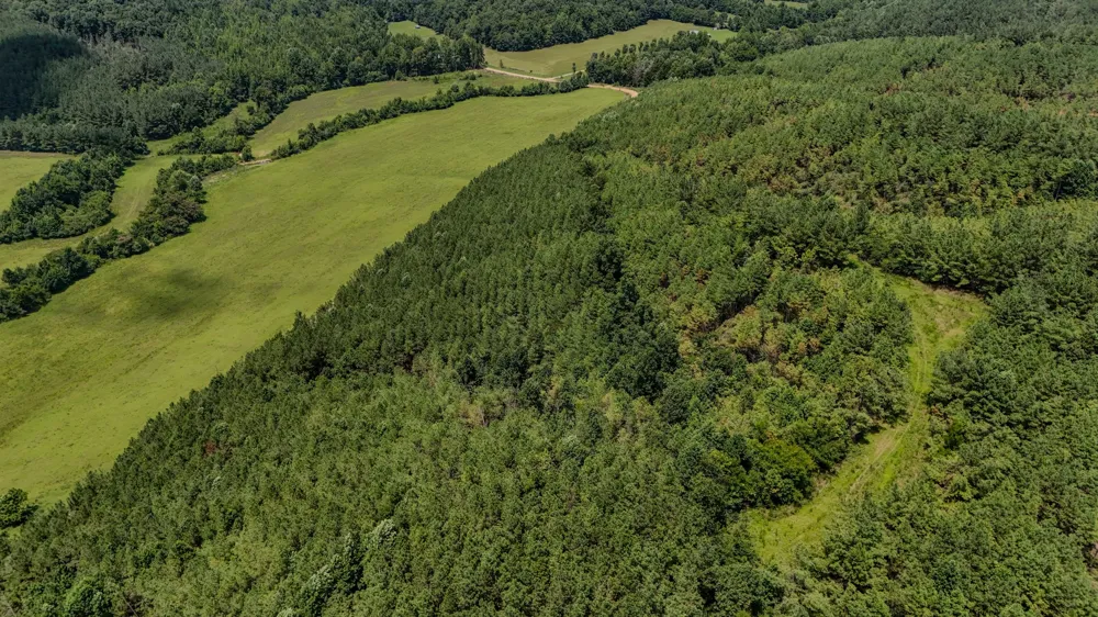 0 Big Opossum Rd Waynesboro, TN 38485