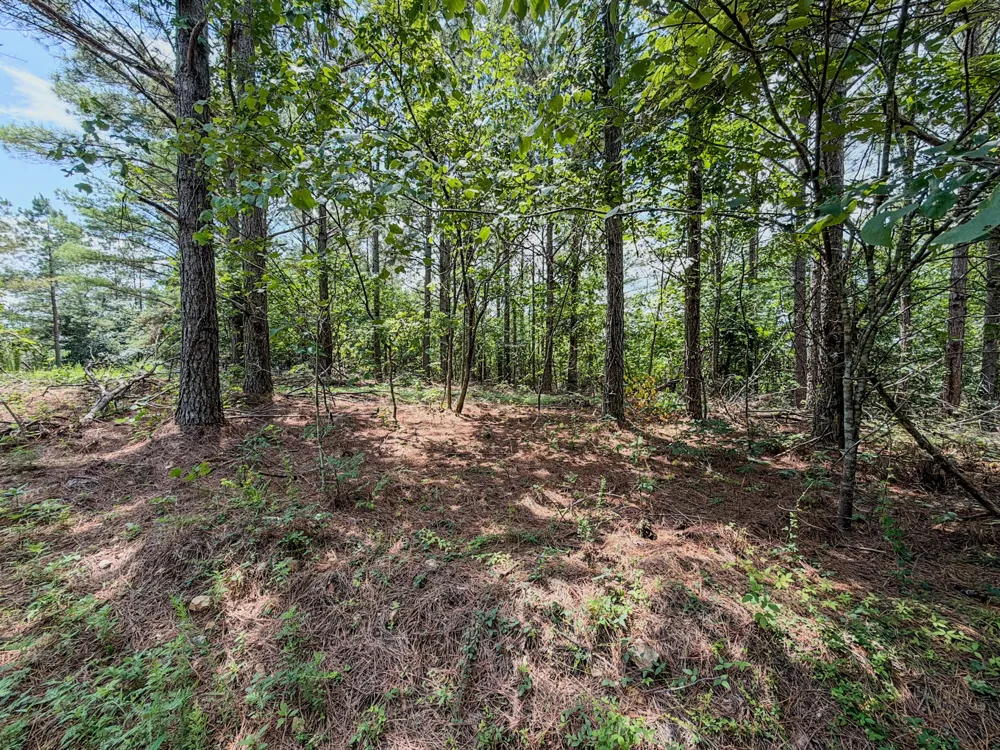 0 Big Opossum Rd Waynesboro, TN 38485