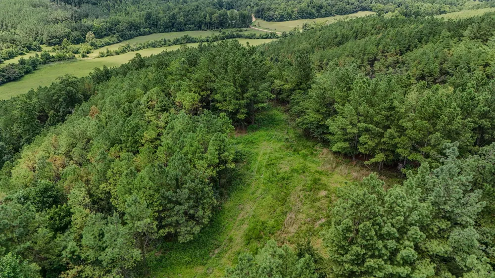 0 Big Opossum Rd Waynesboro, TN 38485