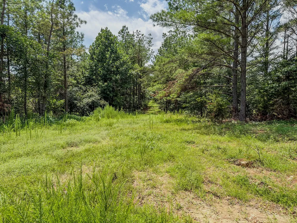0 Big Opossum Rd Waynesboro, TN 38485