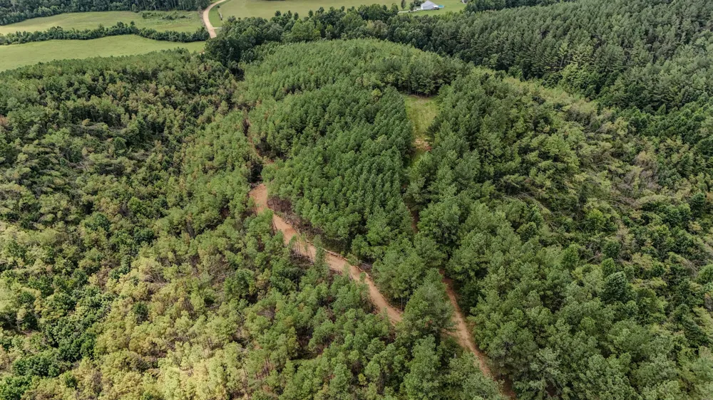 0 Big Opossum Rd Waynesboro, TN 38485