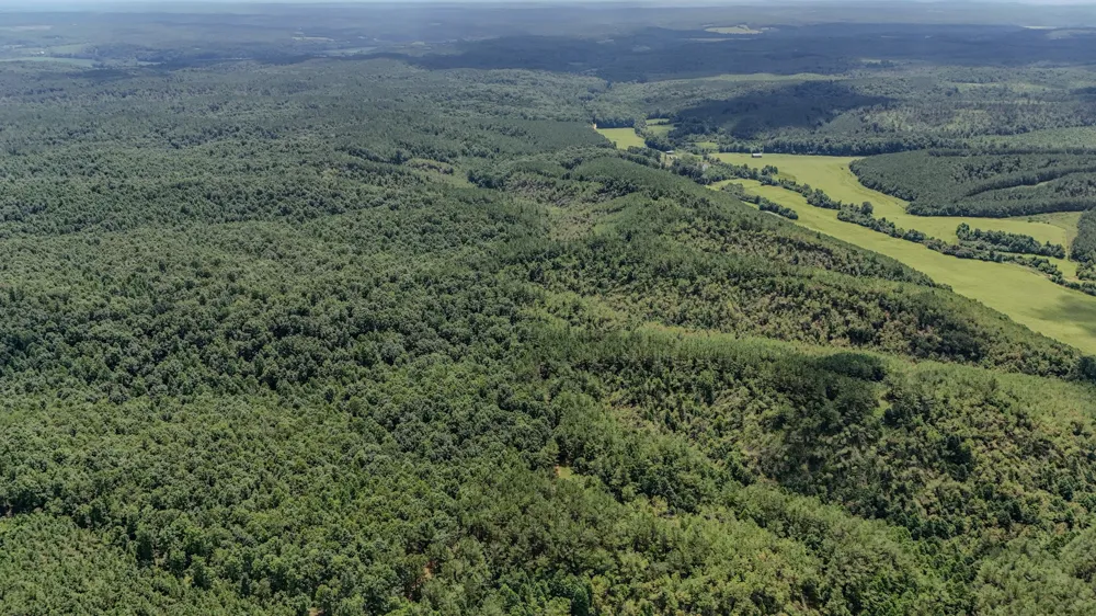 0 Big Opossum Rd Waynesboro, TN 38485