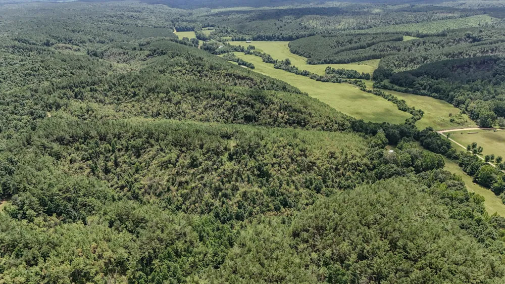 0 Big Opossum Rd Waynesboro, TN 38485