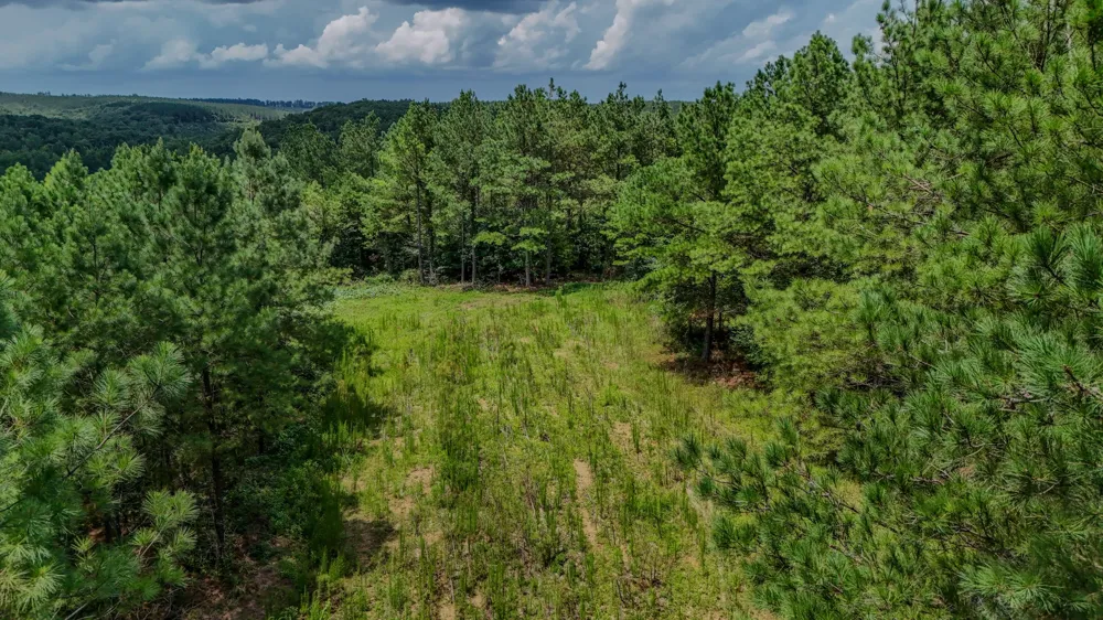 0 Big Opossum Rd Waynesboro, TN 38485
