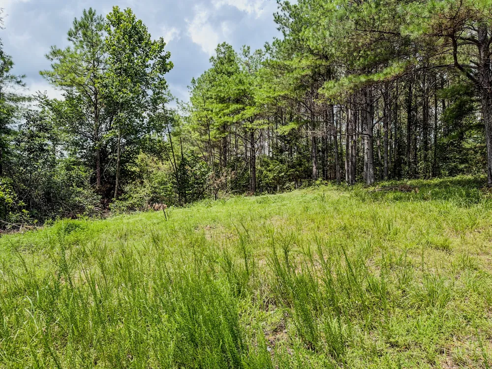 0 Big Opossum Rd Waynesboro, TN 38485