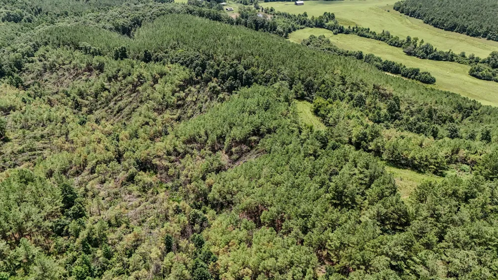 0 Big Opossum Rd Waynesboro, TN 38485