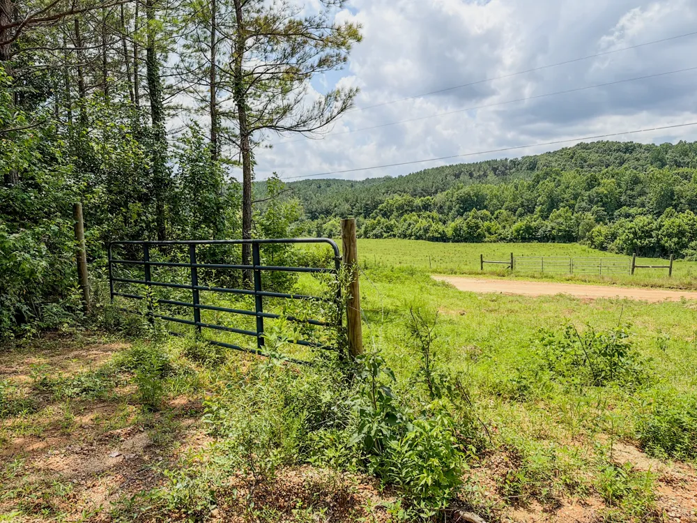 0 Big Opossum Rd Waynesboro, TN 38485