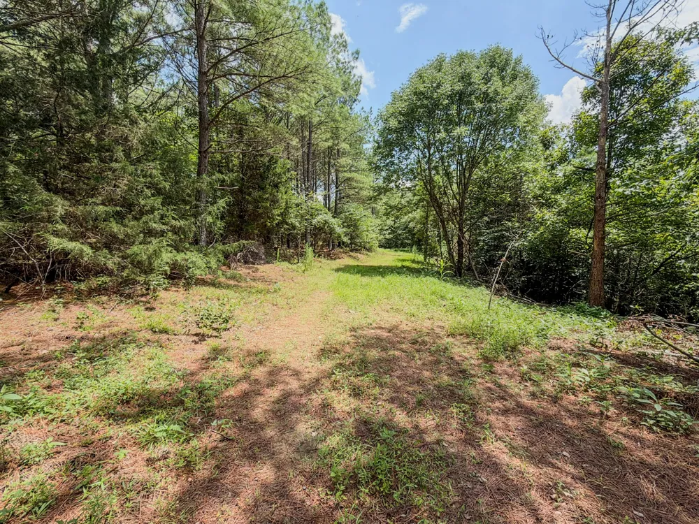0 Big Opossum Rd Waynesboro, TN 38485
