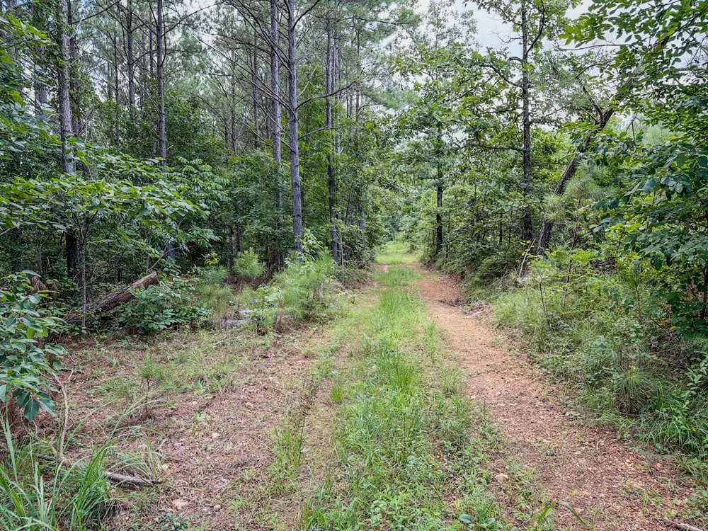 0 Big Opossum Rd Waynesboro, TN 38485