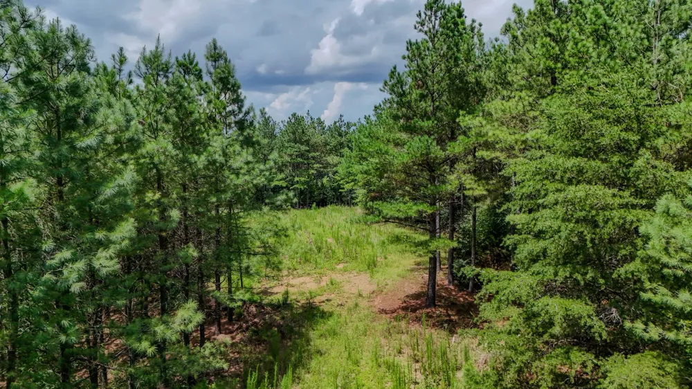 0 Big Opossum Rd Waynesboro, TN 38485