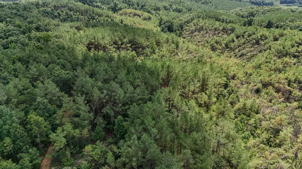 0 Big Opossum Rd Waynesboro, TN 38485