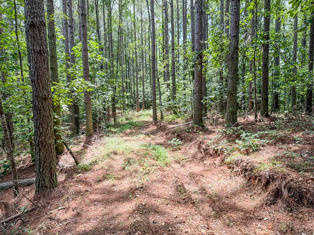 0 Big Opossum Rd Waynesboro, TN 38485